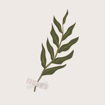 Aesthetic leaf collage element, botanical | Free Vector Illustration - rawpixel