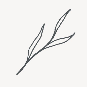 Aesthetic leaf doodle collage element | Free Vector - rawpixel