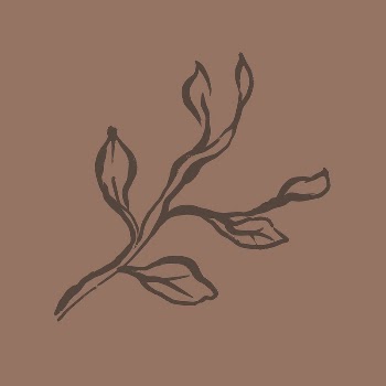 Aesthetic leaf line art, aesthetic | Free Photo - rawpixel