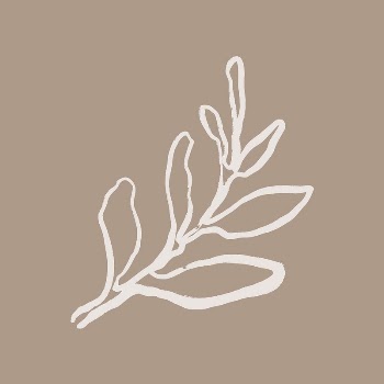 Aesthetic leaf line art, aesthetic | Free Photo - rawpixel