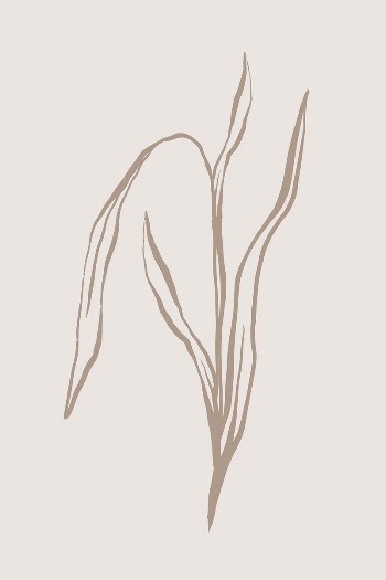 Aesthetic leaf line art, aesthetic | Free Photo - rawpixel