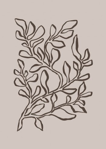 Aesthetic leaf line art, aesthetic | Free Photo - rawpixel