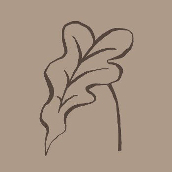 Aesthetic leaf line art, aesthetic | Free Photo - rawpixel