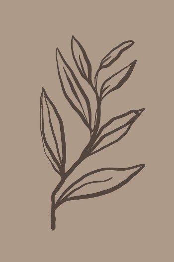 Aesthetic leaf line art, aesthetic | Free Photo - rawpixel