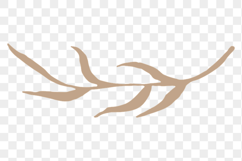 Aesthetic leaf sticker, drawing design, | Free PNG - rawpixel