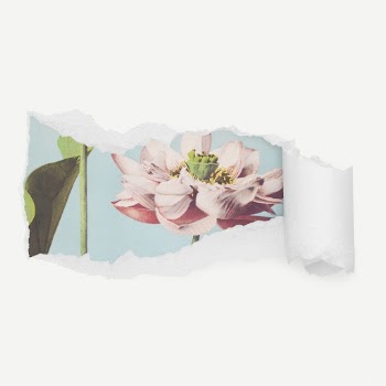 Aesthetic lotus flower torn paper | Free PSD - rawpixel