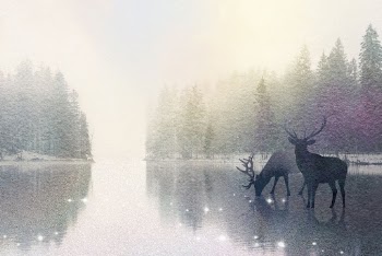 Aesthetic nature background, stag animal | Free Photo Illustration - rawpixel