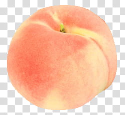 Aesthetic, orange peach fruit transparent background PNG clipart