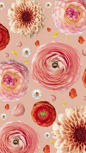 Aesthetic Persian buttercups iPhone wallpaper, | Free Photo - rawpixel