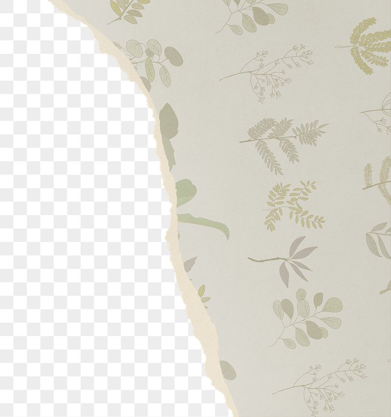 Aesthetic png border, torn paper | Free PNG - rawpixel