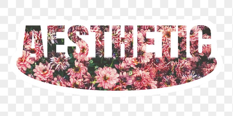 Aesthetic  png word sticker, | Free PNG - rawpixel