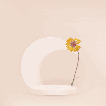 Aesthetic product backdrop background, 3D | Free Vector - rawpixel