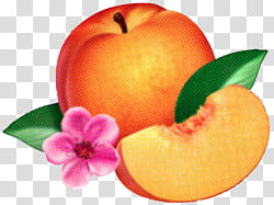Aesthetic, red apple fruit transparent background PNG clipart
