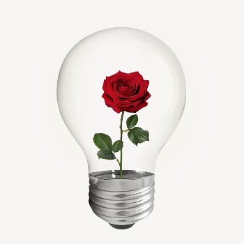 Aesthetic rose bulb, flower, Valentine's | Free PSD - rawpixel
