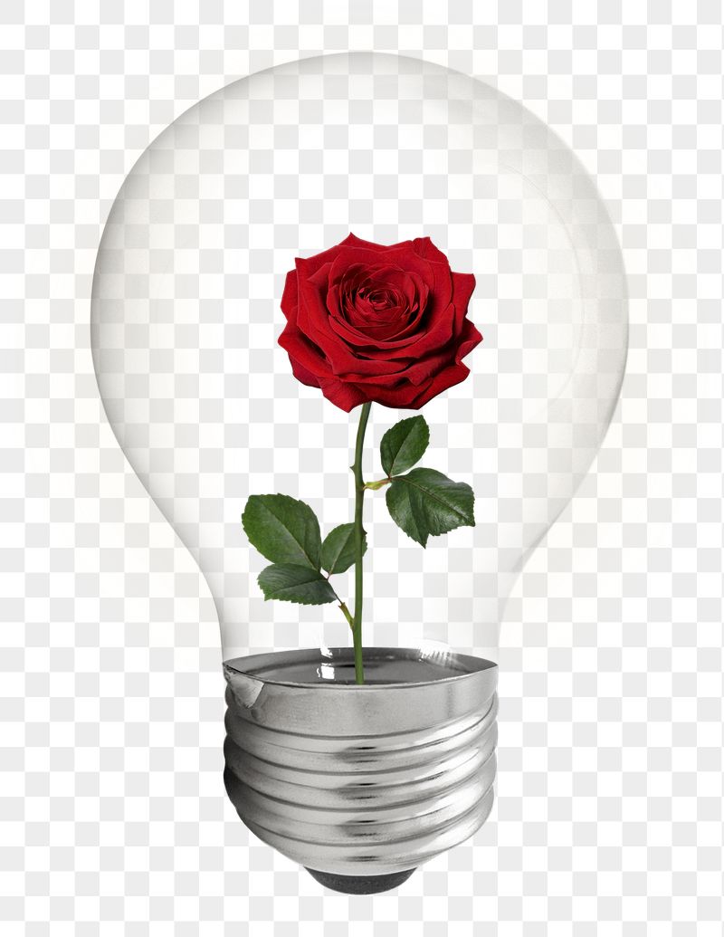 Aesthetic rose png bulb sticker, | Free PNG - rawpixel