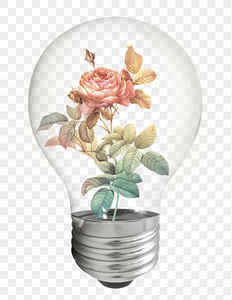 Aesthetic rose png bulb sticker, | Free PNG - rawpixel