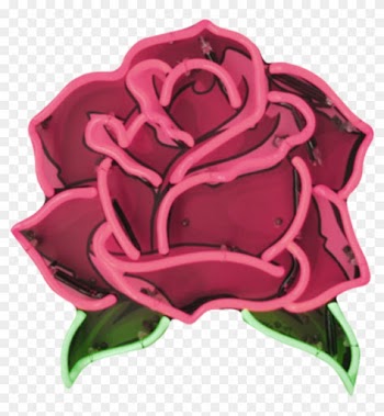 Aesthetic Roses Png