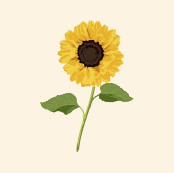Aesthetic sunflower clipart, yellow flower | Free Photo Illustration - rawpixel