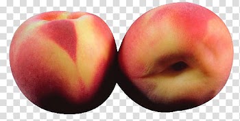 AESTHETIC, two apple fruits transparent background PNG clipart