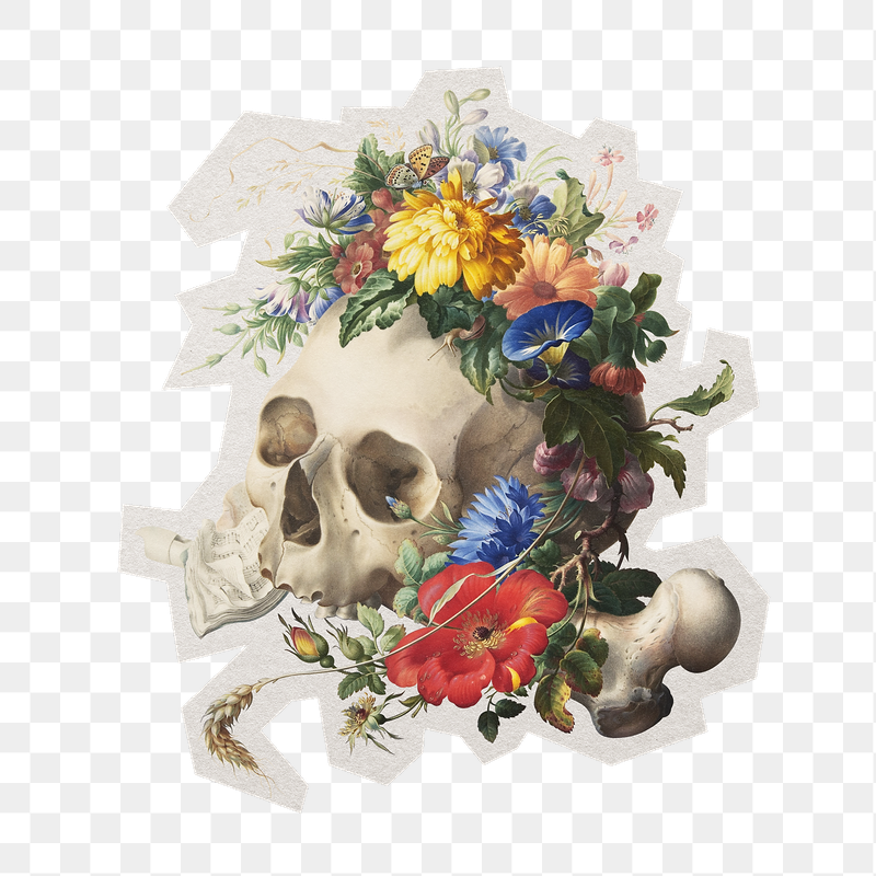 Aesthetic vanitas floral skull png | Free PNG - rawpixel