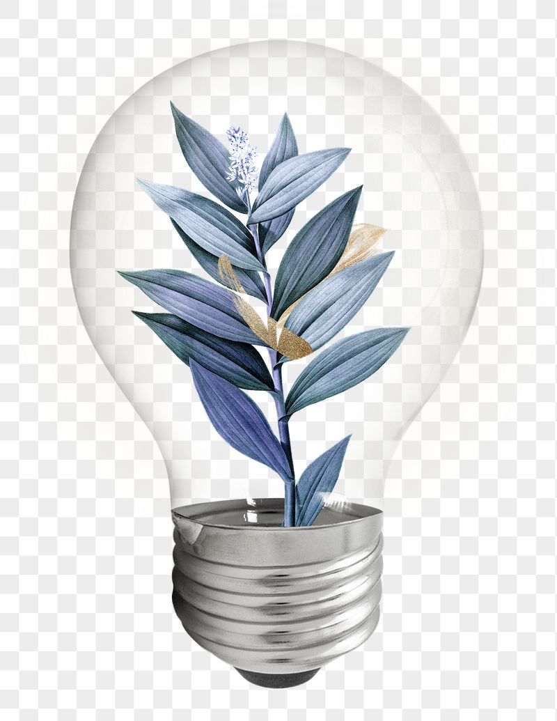 Aesthetic winter png leaf bulb | Free PNG - rawpixel