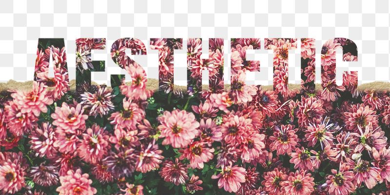 Aesthetic word png border sticker, | Free PNG - rawpixel