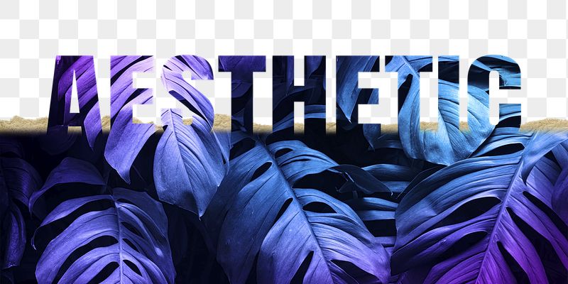 Aesthetic word png border sticker, | Free PNG - rawpixel