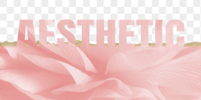 Aesthetic word png border sticker, | Free PNG - rawpixel