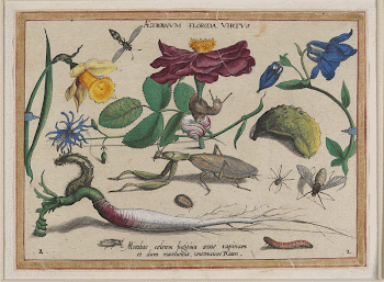 Aeternum Florida Virtus (1592) painting | Free Photo - rawpixel