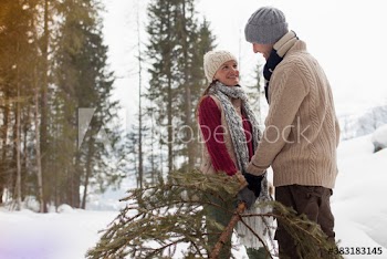 Affectionate couple with Christmas tree in snowy woods