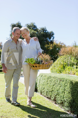 Affectionate senior couple picking flowers in sunny garden