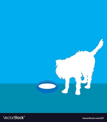 Affenpinscher dog vector image