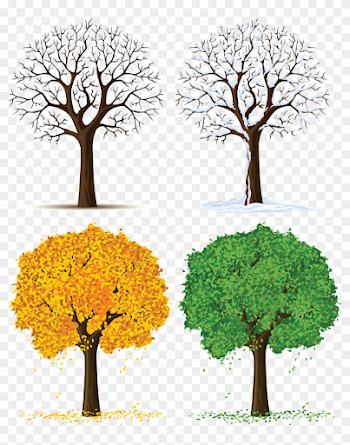 Afficher L'image D'origine - Four Seasons Png - Free Transparent ...