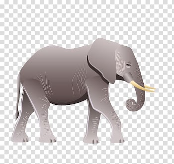 Africa Deer Elephant Animal, Elephant transparent background PNG clipart