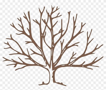 Africa Drylands Programme - Draw A Winter Tree