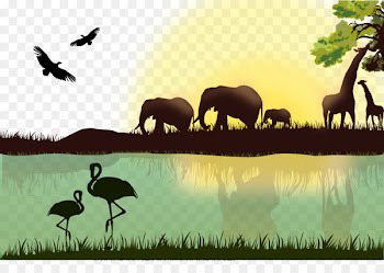 Africa Giraffe Lion Animal - Vector Jungle Tour 