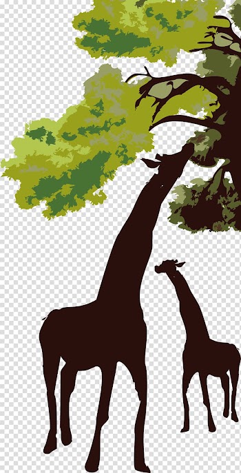 Africa Grassland Landscape, Giraffe and tree transparent background PNG clipart
