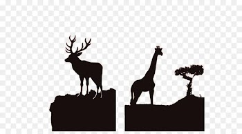 Africa Reindeer Silhouette Wildlife - African wildlife silhouette 