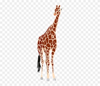 Africa, Safari, Wildlife, Animal, Zoo, Nature - Africa Wild Life Png