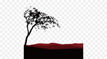 Africa Temperate grasslands, savannas, and shrublands - African grasslands 