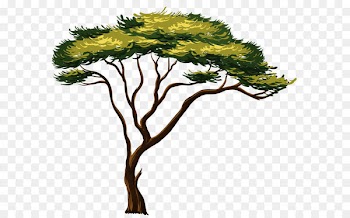 Africa Tree Clip art - Painted African Tree PNG Clipart Picture 