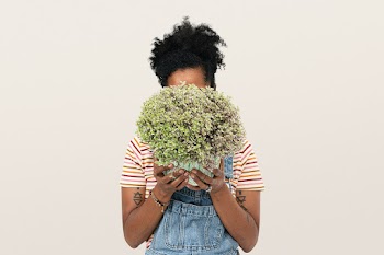African American plant parent holding potted… | Free stock photo | High Resolution image