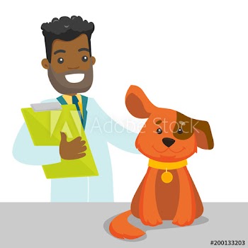 African-american veterinarian doctor examining the dog in the hospital