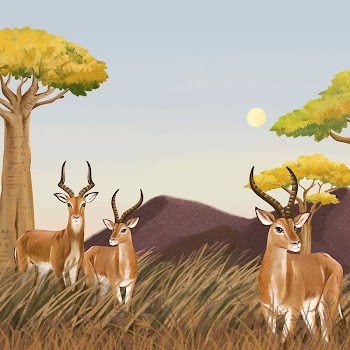 African animals background, drawing design | Free Photo Illustration - rawpixel