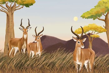 African animals background, drawing design | Free Photo Illustration - rawpixel