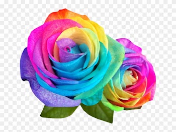 African Animals Clipart Download - Rainbow Roses Transparent