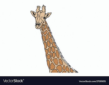 African animals - giraffe vector image