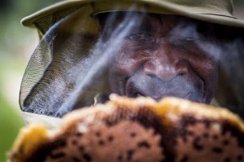 African bee keeper close up, | Free Photo - rawpixel