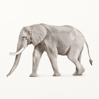 African elephant illustration, animal watercolor | Free Photo Illustration - rawpixel