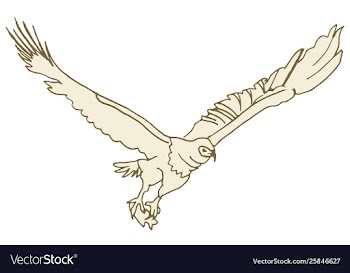 African fish eagle vector image